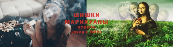 соль ск Белокуриха