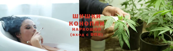 соль ск Белокуриха