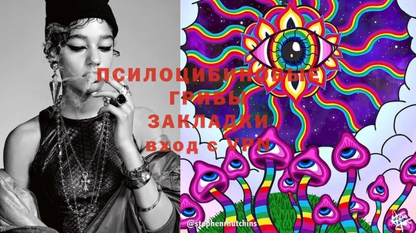 соль ск Белокуриха