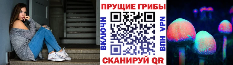 Псилоцибиновые грибы GOLDEN TEACHER  МЕГА зеркало  Староминская 